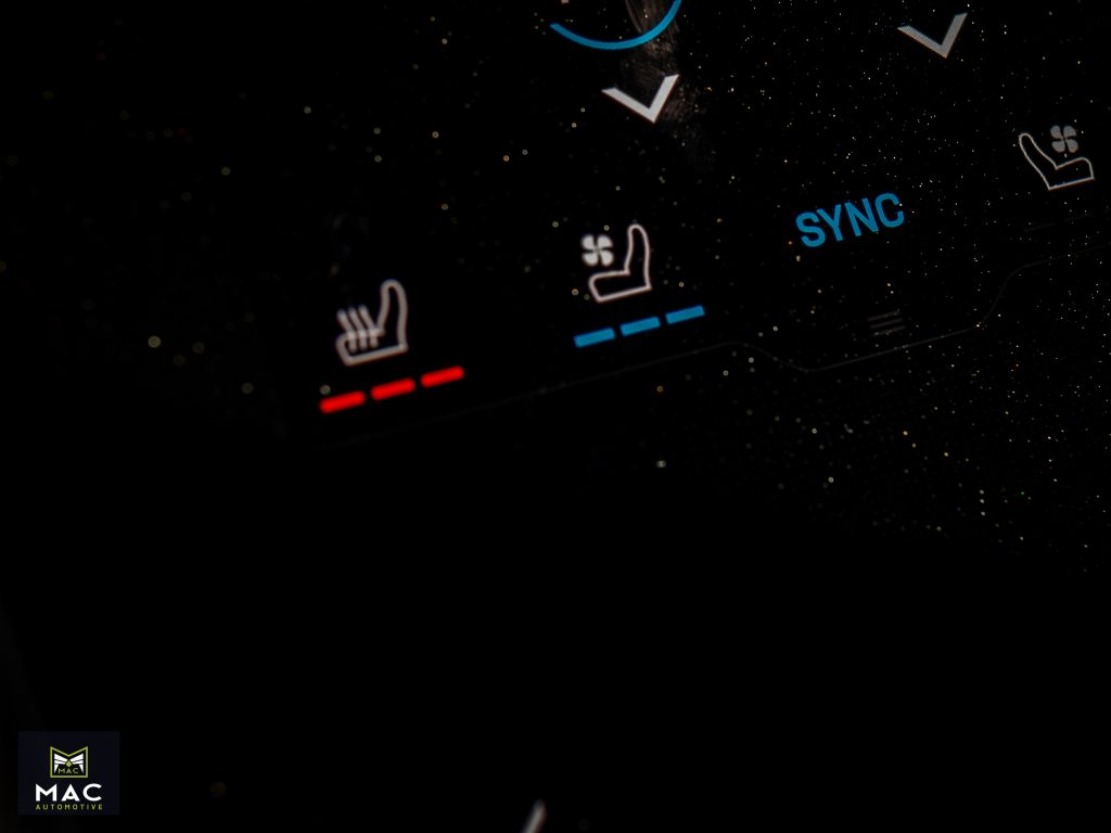 20250425-DSC02896