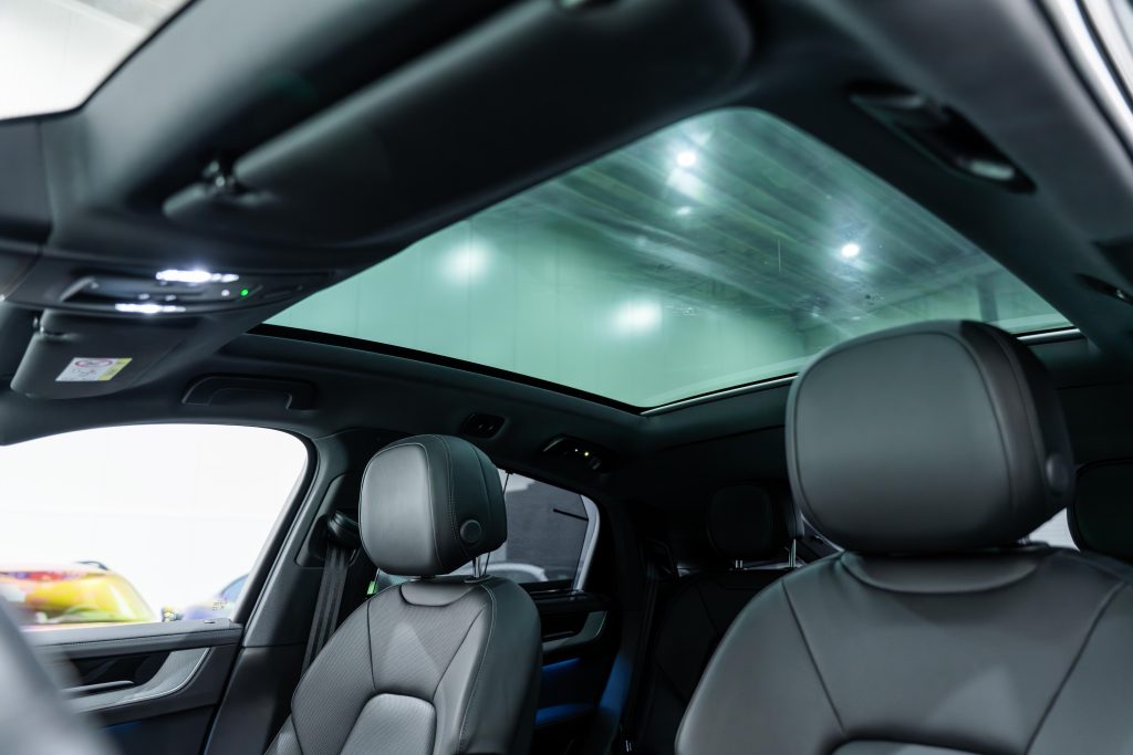 DSC08245-Enhanced-NR