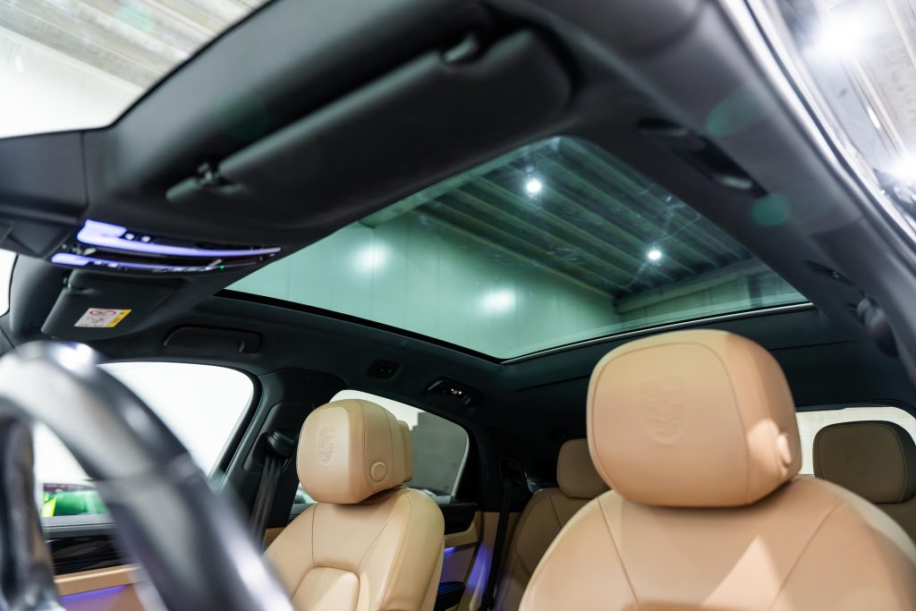 DSC08962-Enhanced-NR